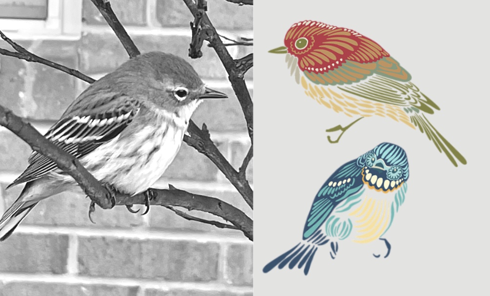 Through the Glass – A Sparrow’s Story and the Art of Seeing